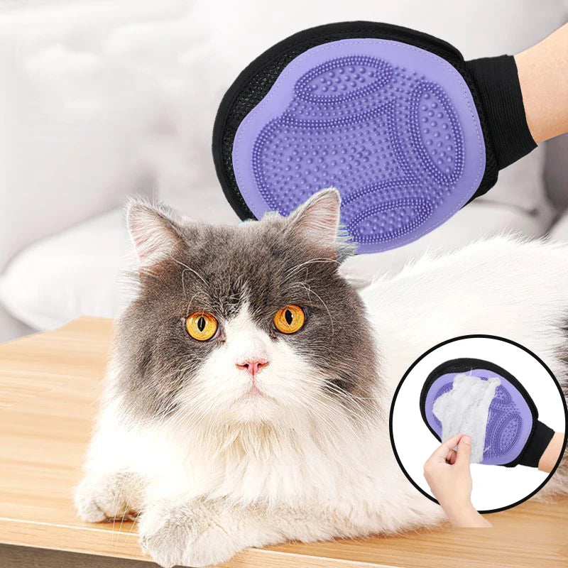 🐶 Gant Anti-Poils Magique – Le brossage que votre chien va enfin aimer